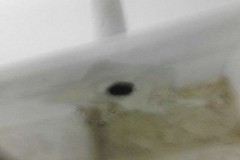 SIGN-EDITION-Drip-Tray-Leak-5